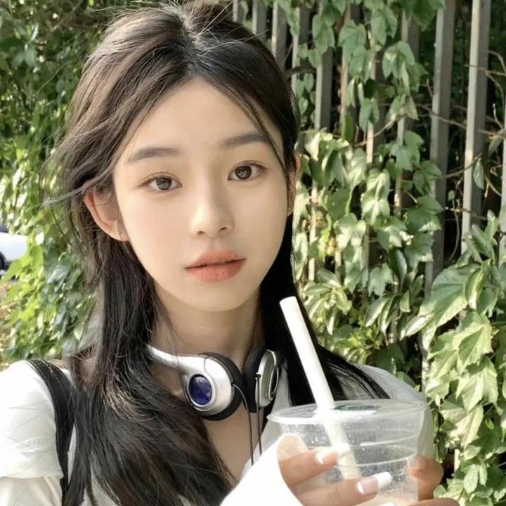 护宝风云