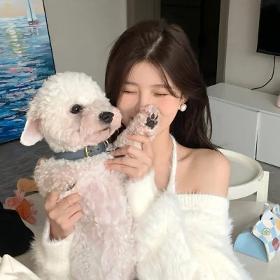 奇妙仙子:冬森林的秘密